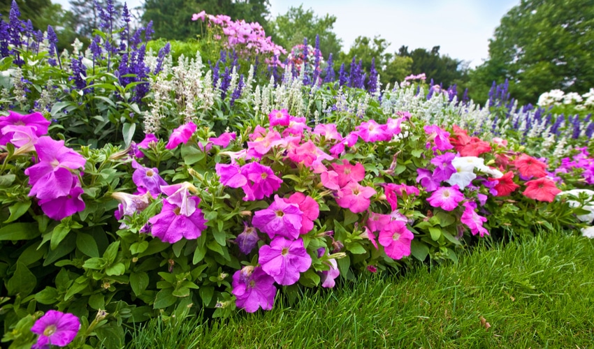 DIY Gardening Ideas Perfect For Your Yard This Summer DIY Gardening Ideas Perfect For Your Yard This Summer