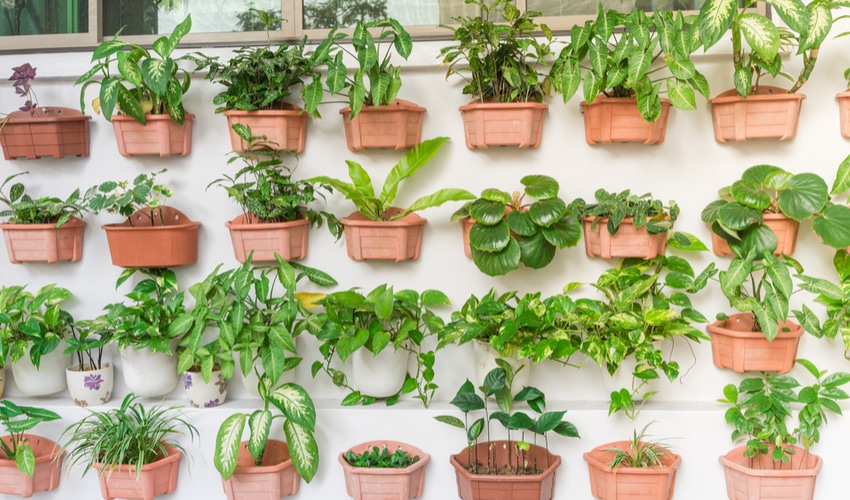 DIY Gardening Ideas Perfect For Your Yard This Summer DIY Gardening Ideas Perfect For Your Yard This Summer