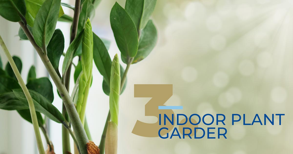 Simple Ways To Make Your Home A Better Place To Live Simple Ways To Make Your Home A Better Place To Live