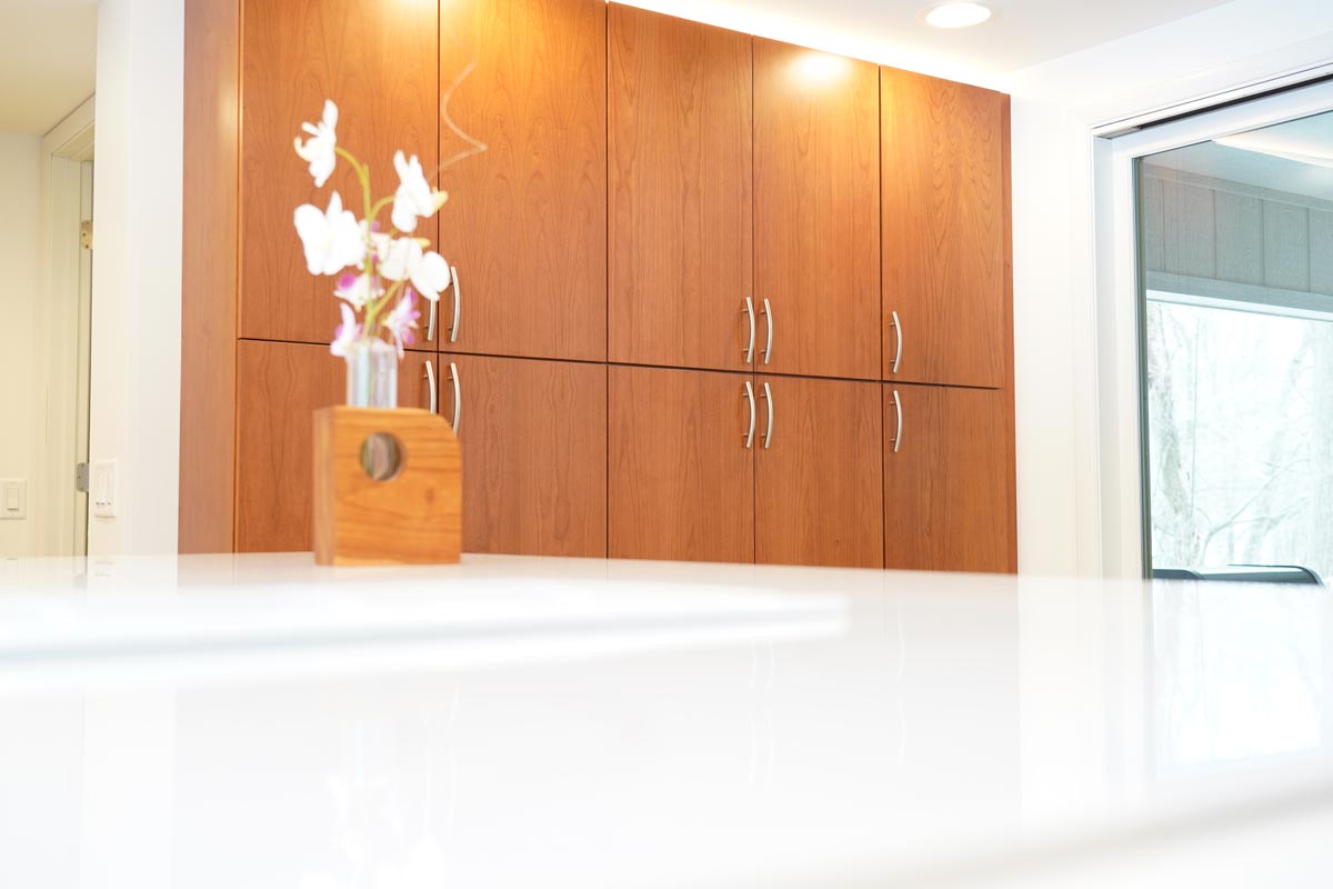 Mid-Century Modern Kitchen – Case Study
