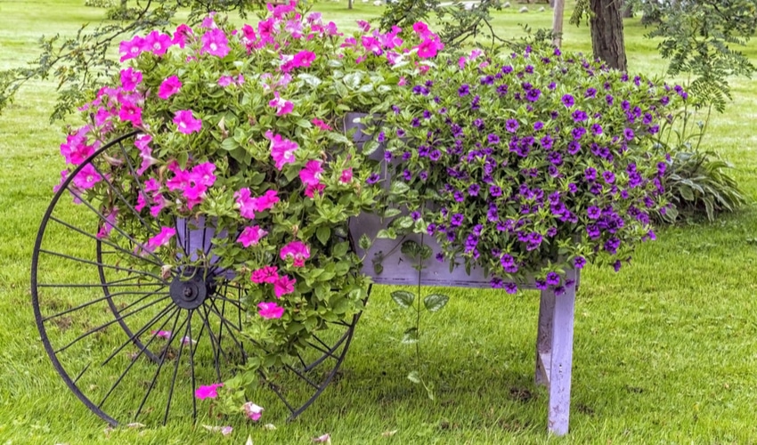 DIY Gardening Ideas Perfect For Your Yard This Summer DIY Gardening Ideas Perfect For Your Yard This Summer