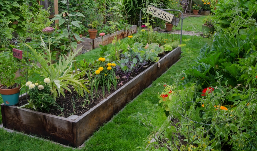 DIY Gardening Ideas Perfect For Your Yard This Summer DIY Gardening Ideas Perfect For Your Yard This Summer