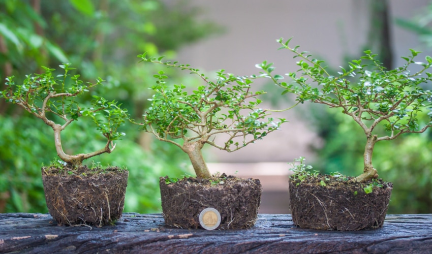 DIY Gardening Ideas Perfect For Your Yard This Summer DIY Gardening Ideas Perfect For Your Yard This Summer