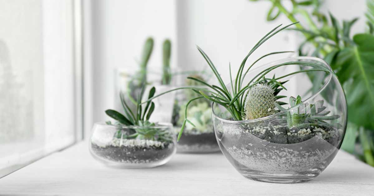 Simple Ways To Make Your Home A Better Place To Live Simple Ways To Make Your Home A Better Place To Live