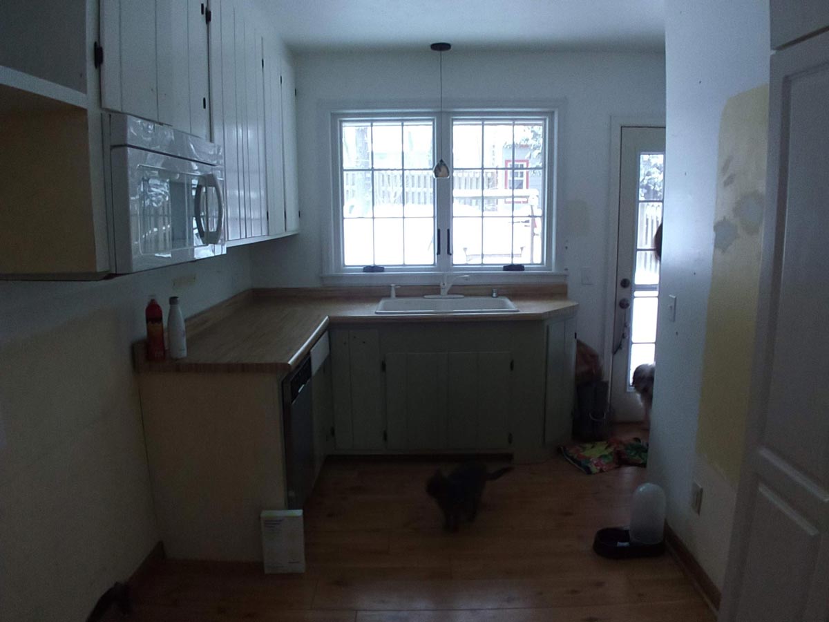Transitional Kitchen – Case Study