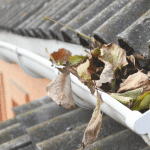 leaves in a gutter