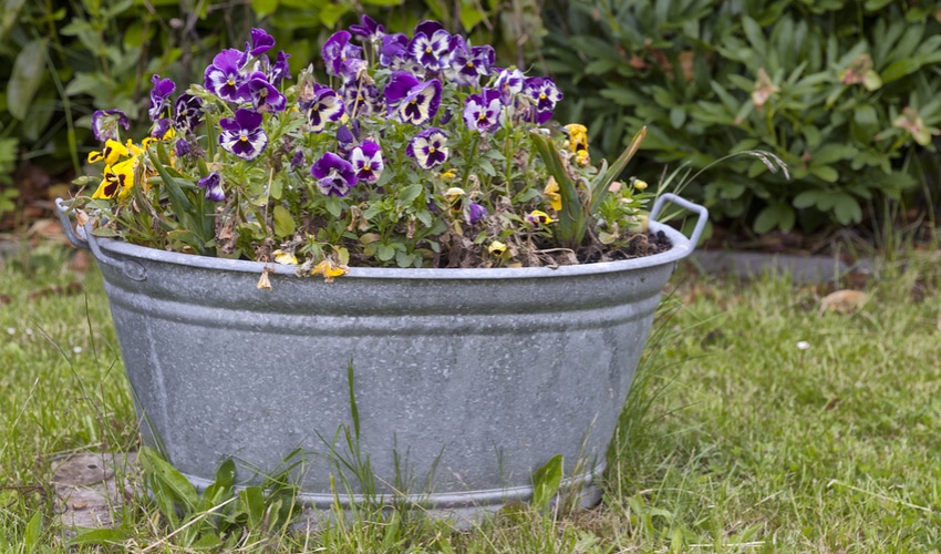 DIY Gardening Ideas Perfect For Your Yard This Summer DIY Gardening Ideas Perfect For Your Yard This Summer